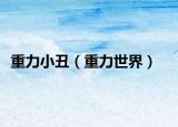 重力小丑（重力世界）