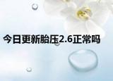 今日更新胎压2.6正常吗