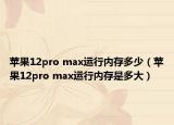 苹果12pro max运行内存多少（苹果12pro max运行内存是多大）