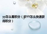 yy怎么看积分（求YY怎么快速获得积分）