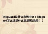 lifeguard是什么意思中文（lifeguard怎么读是什么意思呢(急需））