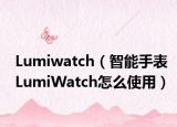 Lumiwatch（智能手表LumiWatch怎么使用）