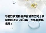 电视剧亲爱的翻译官爱奇艺网（亲爱的翻译官 2016年王迎执导的电视剧）