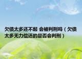 欠债太多还不起 会被判刑吗（欠债太多无力偿还的是否会判刑）