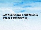 床褥有虫子怎么办（被褥有虫怎么去掉,床上的虫怎么去除）