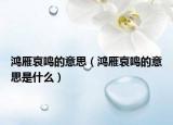 鸿雁哀鸣的意思（鸿雁哀鸣的意思是什么）