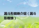 漏斗形蜘蛛介绍（漏斗形蜘蛛）