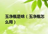 玉净瓶是啥（玉净瓶怎么用）