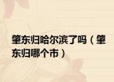 肇东归哈尔滨了吗（肇东归哪个市）