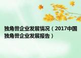 独角兽企业发展情况（2017中国独角兽企业发展报告）