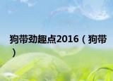 狗带劲趣点2016（狗带）