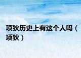 项狄历史上有这个人吗（项狄）