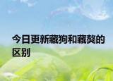 今日更新藏狗和藏獒的区别