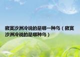 寂寞沙洲冷说的是哪一种鸟（寂寞沙洲冷说的是哪种鸟）
