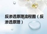 反渗透原理流程图（反渗透原理）