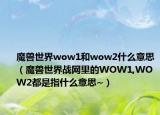 魔兽世界wow1和wow2什么意思（魔兽世界战网里的WOW1,WOW2都是指什么意思~）