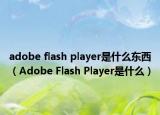 adobe flash player是什么东西（Adobe Flash Player是什么）