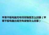 苹果平板电脑充电特别慢是怎么回事（苹果平板电脑出现充电很慢怎么回事）