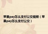 苹果pay怎么支付公交视频（苹果pay怎么支付公交）