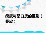 桑皮与桑白皮的区别（桑皮）