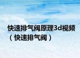 快速排气阀原理3d视频（快速排气阀）