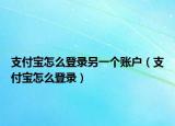 支付宝怎么登录另一个账户（支付宝怎么登录）
