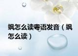 飒怎么读粤语发音（飒怎么读）