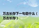 万古长存下一句是什么（万古长存）
