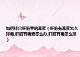 如何排出肝脏里的毒素（肝脏有毒素怎么排毒,肝脏有毒素怎么办,肝脏有毒怎么排）
