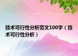 技术可行性分析范文100字（技术可行性分析）