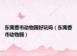 东莞香市动物园好玩吗（东莞香市动物园）