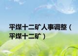 平煤十二矿人事调整（平煤十二矿）
