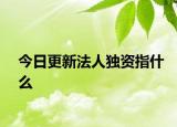 今日更新法人独资指什么