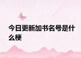今日更新加书名号是什么梗