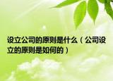 设立公司的原则是什么（公司设立的原则是如何的）