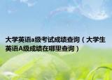 大学英语a级考试成绩查询（大学生英语A级成绩在哪里查询）