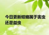 今日更新螳螂属于害虫还是益虫