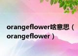 orangeflower啥意思（orangeflower）