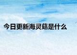 今日更新海灵菇是什么
