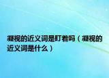 凝视的近义词是盯着吗（凝视的近义词是什么）