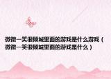 微微一笑很倾城里面的游戏是什么游戏（微微一笑很倾城里面的游戏是什么）