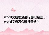 word文档怎么进行首行缩进（word文档怎么进行筛选）
