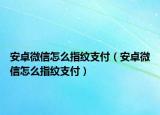 安卓微信怎么指纹支付（安卓微信怎么指纹支付）