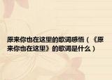 原来你也在这里的歌词感悟（《原来你也在这里》的歌词是什么）