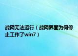战网无法运行（战网界面为何停止工作了win7）