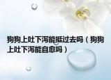 狗狗上吐下泻能挺过去吗（狗狗上吐下泻能自愈吗）