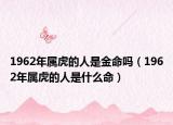 1962年属虎的人是金命吗（1962年属虎的人是什么命）