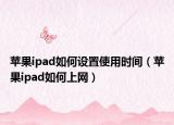 苹果ipad如何设置使用时间（苹果ipad如何上网）
