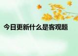 今日更新什么是客观题