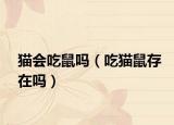 猫会吃鼠吗（吃猫鼠存在吗）